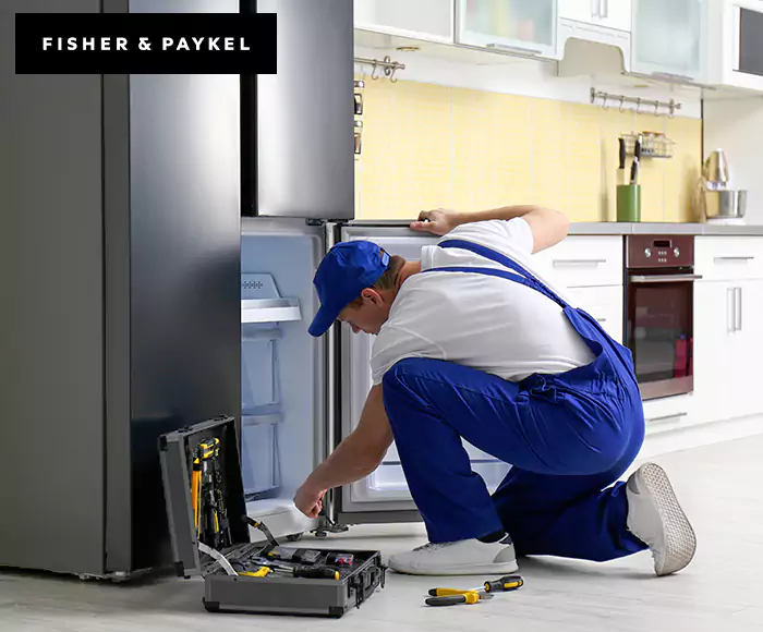 Top-Rated Fisher & Paykel Appliance Experts: Your Brand Specialist in Cranston, RI